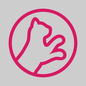 Vitaliteit & Beweeglijkheid