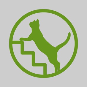 Unterstützt die Beweglichkeit