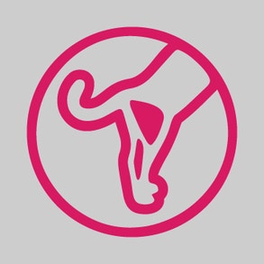 Kräftige Muskulatur