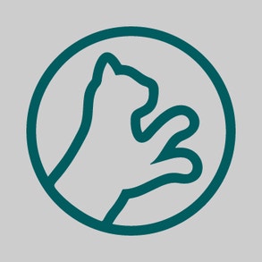 Vitalität & Fitness