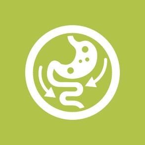 Mit Chicoree-Extrakt, einer natürlichen Quelle von Präbiotika, zur Unterstützung eines gesunden Darms.